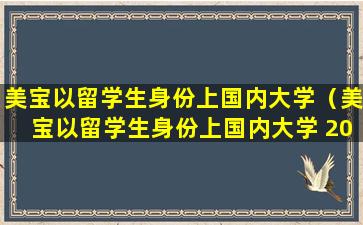 美宝以留学生身份上国内大学（美宝以留学生身份上国内大学 2023）